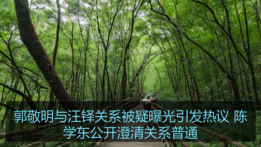 郭敬明与汪铎关系被疑曝光引发热议 陈学东公开澄清关系普通