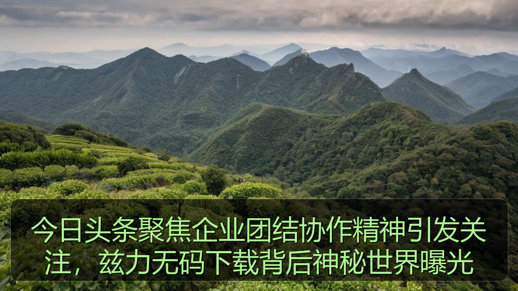 今日头条聚焦企业团结协作精神引发关注，兹力无码下载背后神秘世界曝光