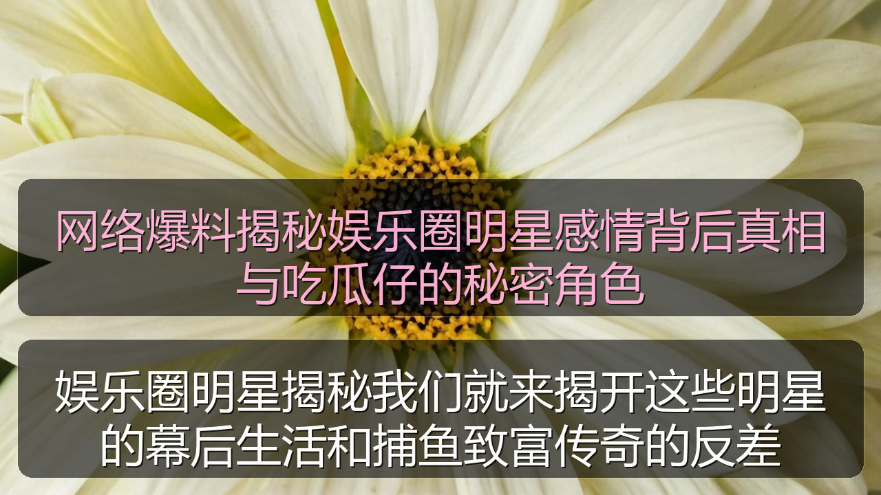 娱乐圈明星揭秘我们就来揭开这些明星的幕后生活和捕鱼致富传奇的反差