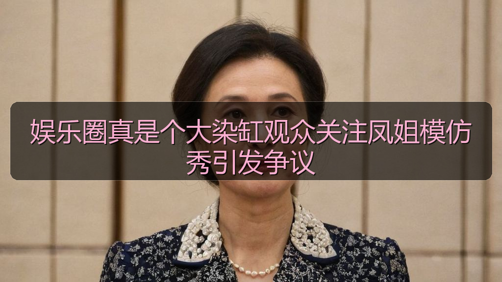 娱乐圈真是个大染缸观众关注凤姐模仿秀引发争议