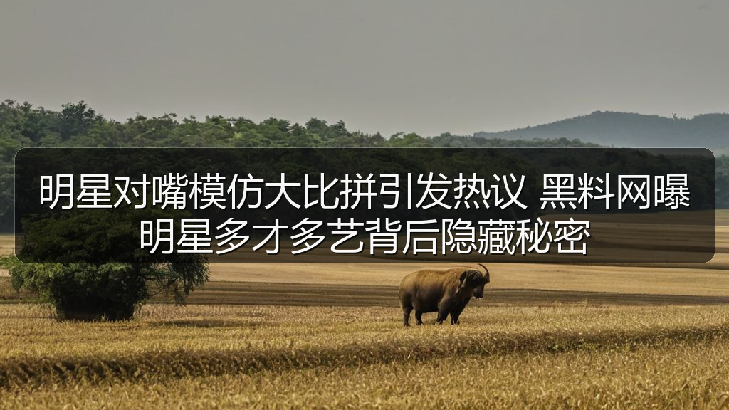 明星对嘴模仿大比拼引发热议 黑料网曝明星多才多艺背后隐藏秘密