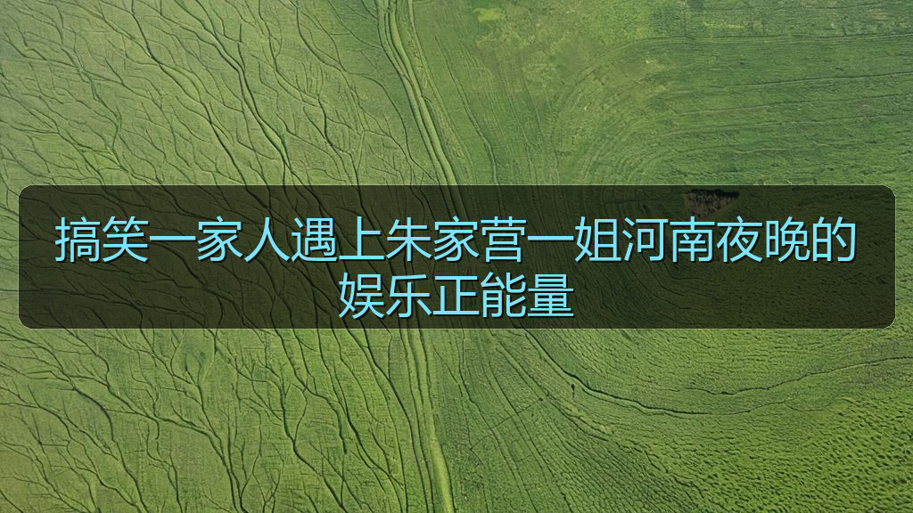 搞笑一家人遇上朱家营一姐河南夜晚的娱乐正能量